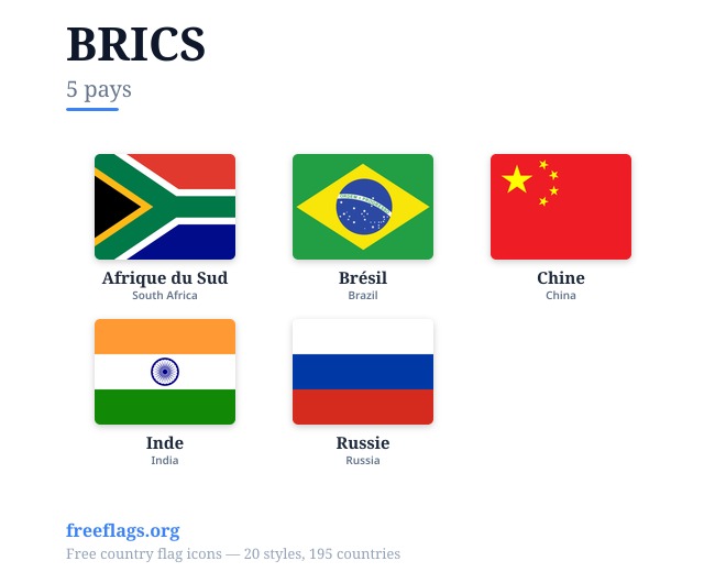 BRICS Drapeaux