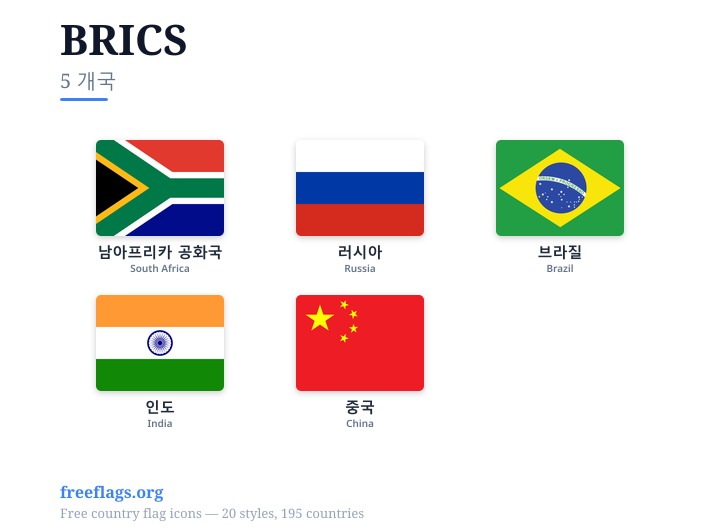 BRICS 회원국 국기