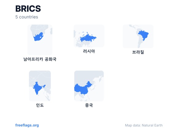 BRICS 국가 형태