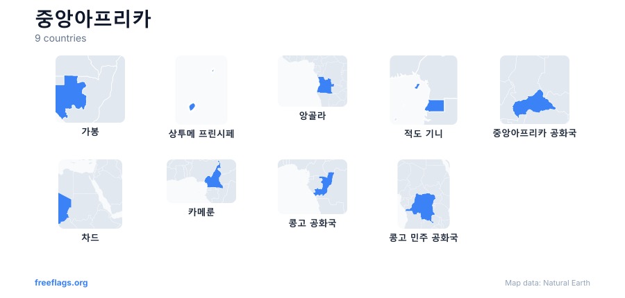 중앙아프리카 국가 형태