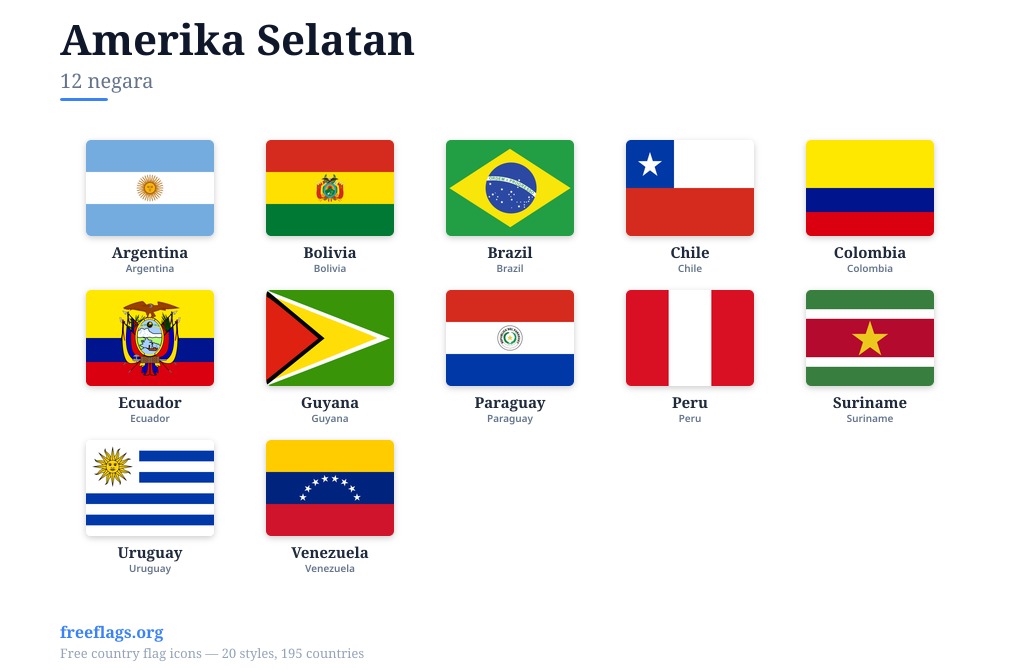Amerika Selatan Bendera Ahli