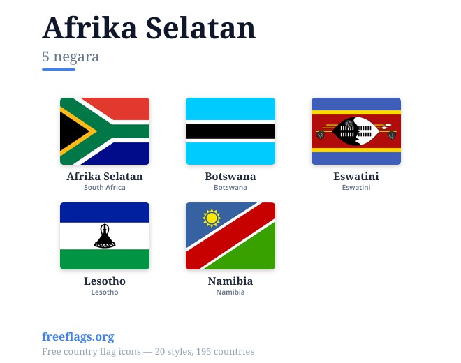 Afrika Selatan Bendera Ahli