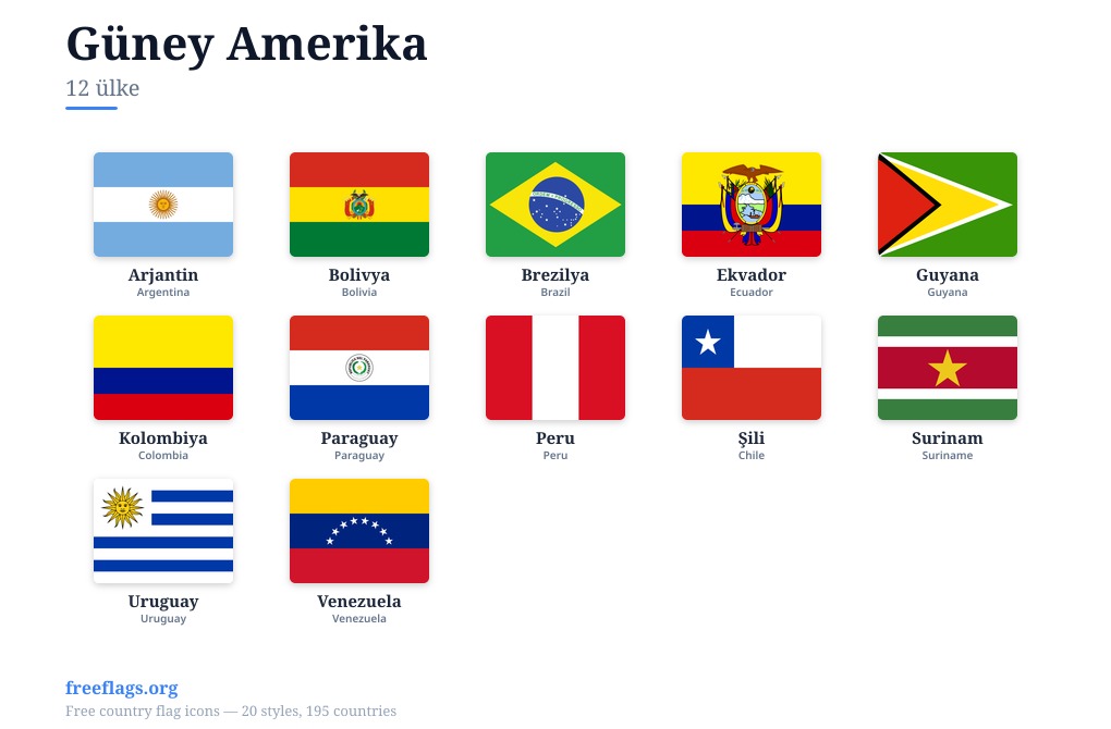 Güney Amerika Üye Bayrakları